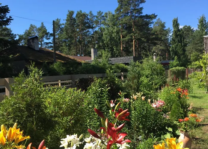 Valeria Kamping * Uuskula (Ida-Viru)