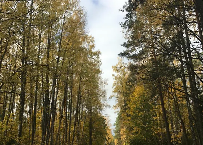 Campsite Valeria Kamping